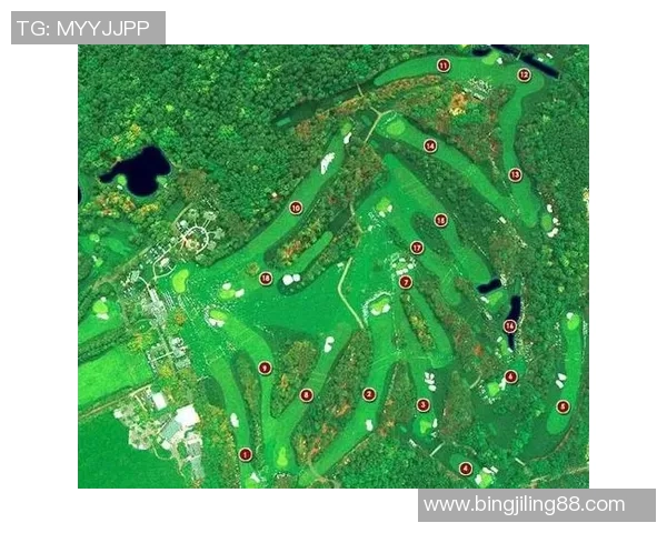 成都网球队的反击之路:从挑战到崛起的全景解析 成都网球队的反击之路:从挑战到崛起的全景解析