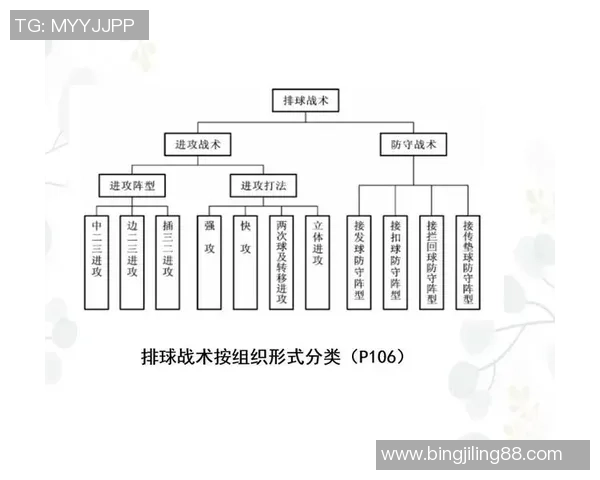 武汉排球队战术解析与对比研究揭示球队优势与不足之处