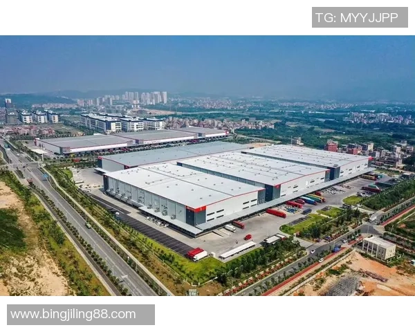 杭州羽毛球队在联合会杯中的崛起与成长历程全景揭秘