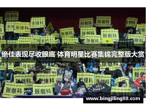 绝佳表现尽收眼底 体育明星比赛集锦完整版大赏