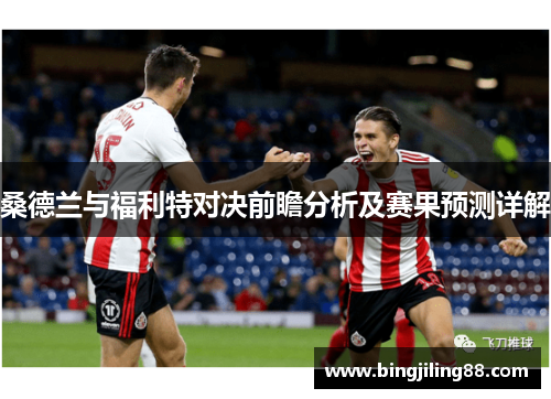 桑德兰与福利特对决前瞻分析及赛果预测详解