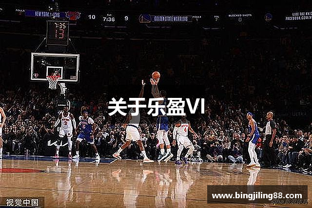 关于乐盈VI